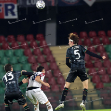 LMR_1334