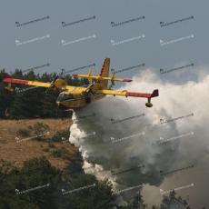 IMG_4240