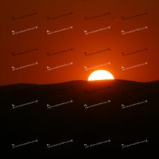 IMG_3907