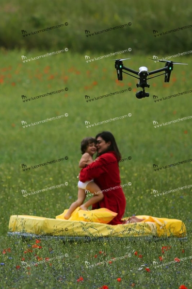 XLM_5338 (1)