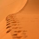 IMG_8910 Orme lungo le dune del Deserto del Sahara, Marocco. Formato stampa: standard